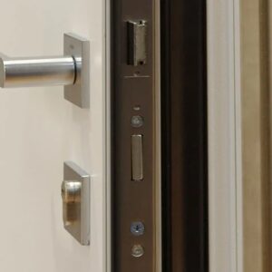 Window and Door Locks